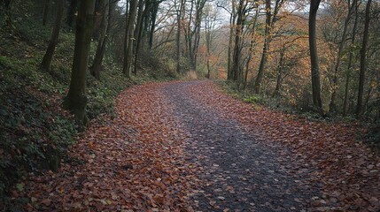 Obraz premium Serene Autumn Pathway in Enchanting Forest with Fallen Leaves