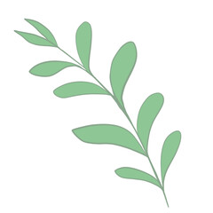 green leaves vector