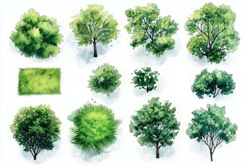 Fototapeta premium Set of watercolor illustrations showing different treetops, grass patches. Top-down view design elements for landscape layout, architecture plans. Ideal for creating landscape plans for eco-friendly