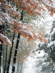 Snow-covered bamboo forest with orange leaves.
