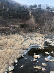 frozen river in winter