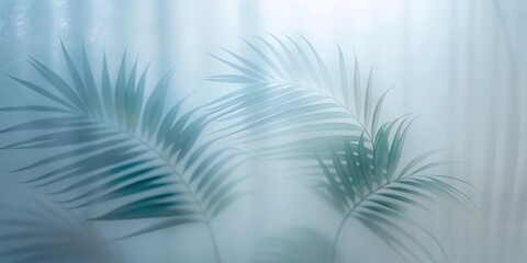Obraz premium Green palm with reeded glass. Clean texture on stylish transparent background for premium look. Ribbed Background. White Reeded Glass. Summer concept with blurred luxury wall. Plant leaves.
