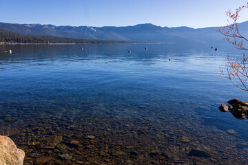 a gorgeous winter landscape at Lake Tahoe with blue lake water, lush green trees and plants and...