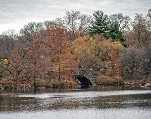 Gapstow Bridge in Central Park