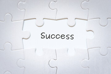 success word and puzzles