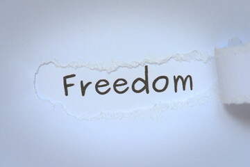 Fototapeta premium freedom word on paper