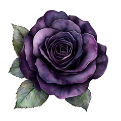 A purple rose with green leaves. The rose is the main focus of the image. The image has a serene and calming mood, as the colors of the rose