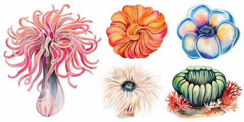 Vibrant Watercolor Sea Anemones Ocean Life Marine Wildlife Underwater Flora Coral Reef Aquatic