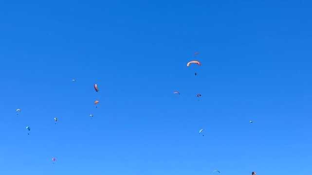 many paraglider fly in blue sky. paragliding in Fethiye, Turkey