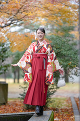 A Japanese woman in her 20s wearing a red kimono (Hakama), a staple for Japanese university graduates, walks in a traditional Japanese park with beautiful autumn leaves.