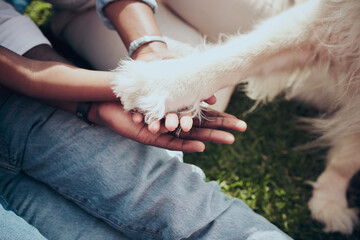 Support, people and dog with hands together outdoor for protection, security and bonding with...