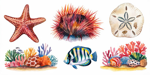 Watercolor Ocean Life Starfish Coral Reef Fish Sand Dollar