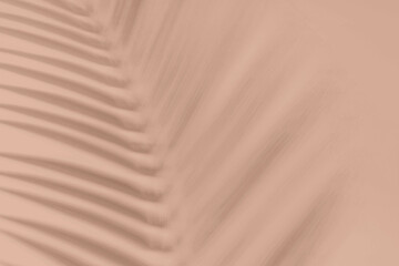 Shadow from tropical palm leaf trending color of year 2025.