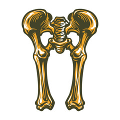 A vintage illustration of femur structure