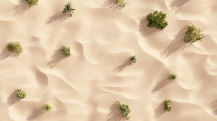 Aerial view of desert sand with scattered cacti