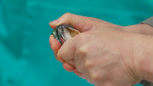 손으로 전복의 껍질을 까 손질하는 모습