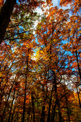 Fototapeta premium Shale Hollow Park in Autumn, Lewis Center, Ohio