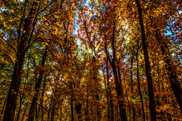 Shale Hollow Park in Autumn, Lewis Center, Ohio