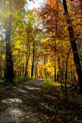 Shale Hollow Park in Autumn, Lewis Center, Ohio