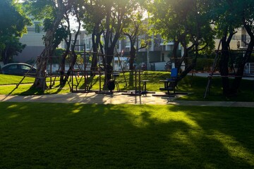 Obraz premium park in the morning