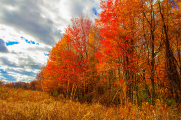 Shale Hollow Park in Autumn, Lewis Center, Ohio