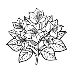 A sketchy style icon of bougainvillea