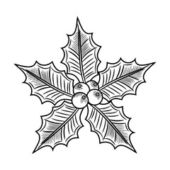 A sketchy style icon of holly berry