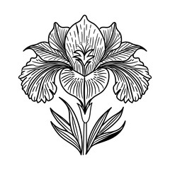 A sketchy style icon of iris flower