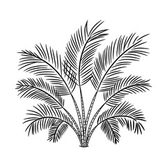 A sketchy style icon of palm fronds