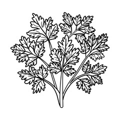 A doodle style icon of parsley