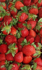 strawberries in a market
