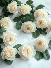 Obraz premium Creamy white roses arranged in circle on light marble surface. Soft lighting highlights delicate petals, rich green leaves. Roses beautiful, serene. Elegant display for wedding, anniversary, special