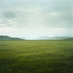 Obraz premium Serene landscape of vast green field under a cloudy sky, distant mountains visible on the horizon.
