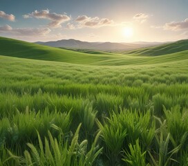 Obraz premium Rolling hills of green wheat swaying gently in the spring breeze, countryside scene, serene atmosphere