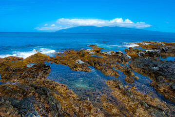 Tide pools on the coast of Maui, Hawaii