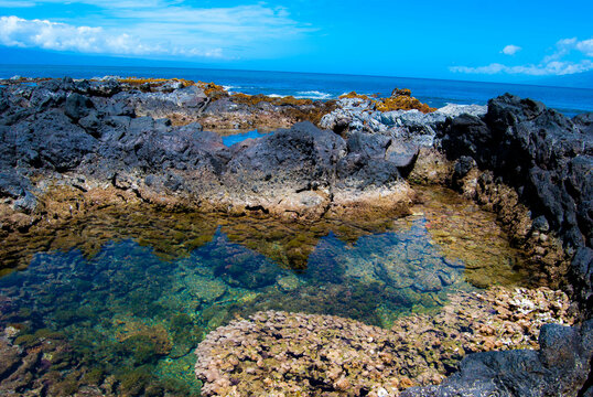 Hawaii coast tidepools - Maui