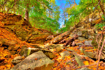 Indian Village Canyon in Fall, Columbus, Ohio