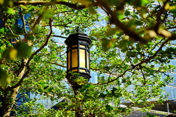 Street lamp surrounded by trees