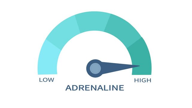High Adrenaline Gauge Indicator Animation. Speedometer Icon with arrow Indicate high level of adrenaline hormone .
