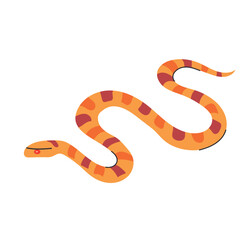 Naklejka premium Corn snake icon clipart avatar logotype isolated vector illustration