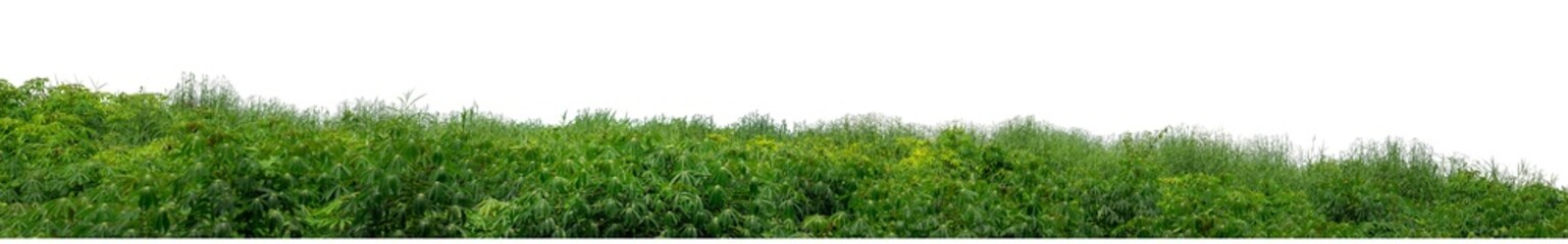 Hill with green isolated on transparent background with clipped path and high resolution alpha channel.