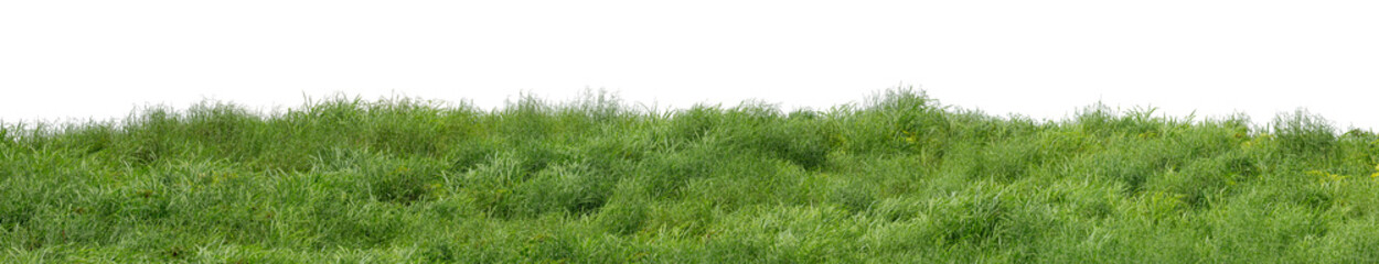 Hill with green isolated on transparent background with clipped path and high resolution alpha...