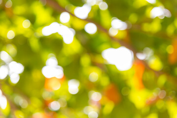 Obraz premium The photo is blurry and out of focus, but it has bokeh and beautiful colors, including orange, yellow, green, and white. It was taken in Myanmar with a high-resolution camera.