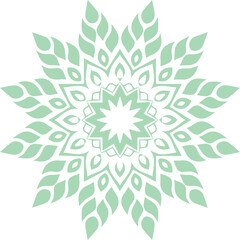 Beautiful flower art and mandala vector design