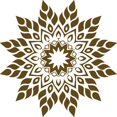 Beautiful flower art and mandala vector design
