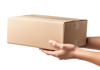 Woman hands with cardboard box isolated on transparent background