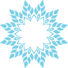 Beautiful flower art and mandala vector design