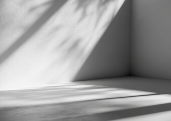 Minimalist White Background with Natural Leaf Shadow for Product Display and Promotion