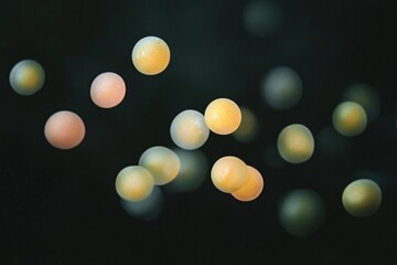 Colorful Floating Spheres in Dark Background Visual Display