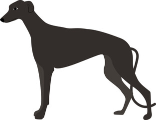 Silhouette of a Greyhound Dog